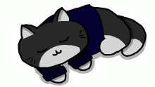 DOnt mind that, its Clockwork's Cat