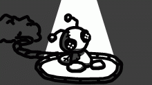decoy