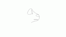 test things