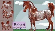 Behati ref