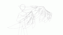 Wing Anatomy Practice