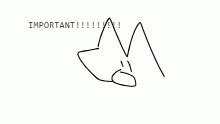 DESC IMPORTANT