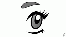 Eye