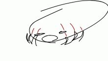 :000