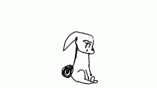 sad bunnny
