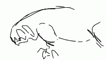 0\ w /o