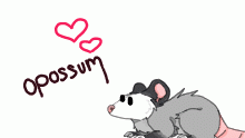 opossum