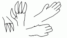 hands an shit be like