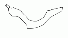 Snek