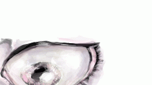 i have drawn a eye