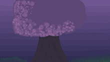 -Cherry Blossom-