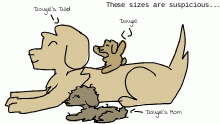 Dougie's family! :D
