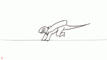 Choppy little lizard do a run