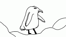 stoopid dumb birdy