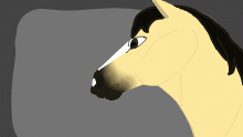 My horse OC