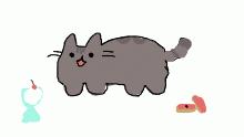 strange ass pusheen