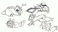 weird animals
