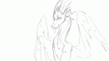 other dragonsona