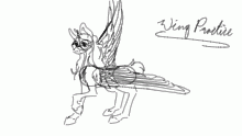 wing practice