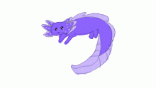 I am now axolotl gang