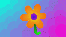 Ombre flower