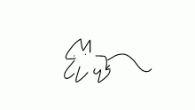 cat walk cycle
