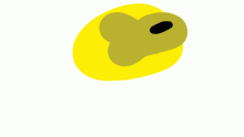 I FOUND 2 THINGS FLOATING ON MY