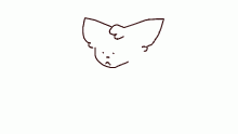 should i create an acocunt?