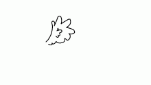 flap flap