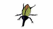 Cool bug
