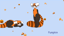 Pumpkin