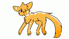 Citrus