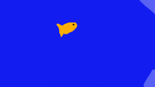 Ocean add on