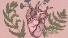 Heart
