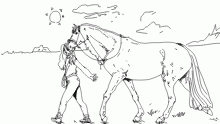 a nice walk~