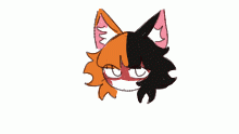 cat liz