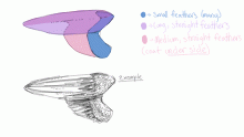 How I create feathered wings