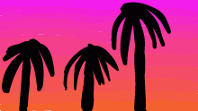 the beach