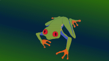 tree frog