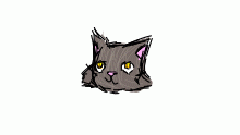 Cat?