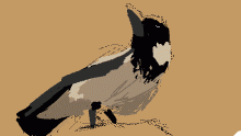 Hooded Crow
