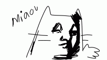 Miaou
