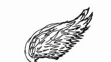 just getting a feel for wings