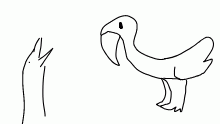 birb
