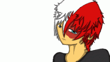 Todoroki :3