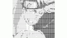 nrto