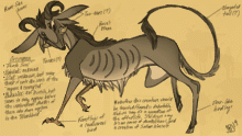 @Holy_Hererasaur monster contest