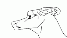 havent animated here in a while