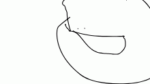 fgr