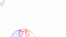 Random animation 12